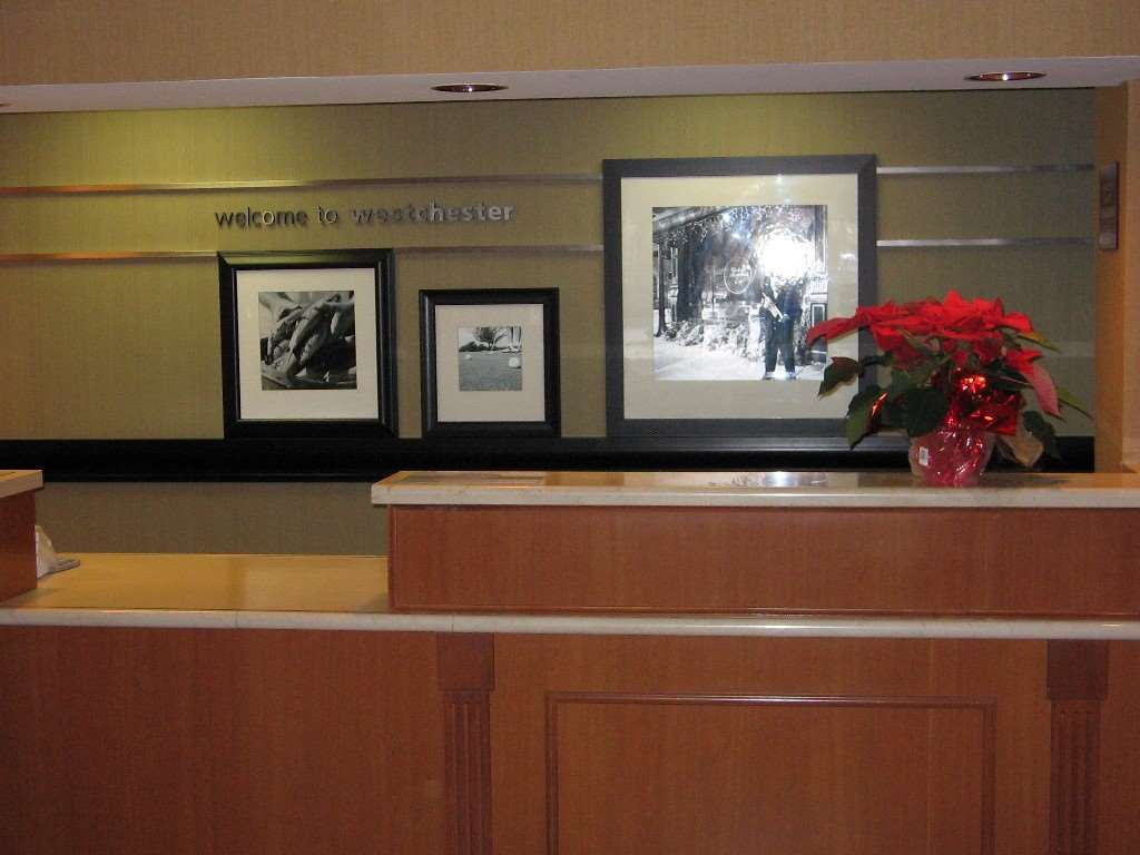 Four Points By Sheraton Chicago Westchester/Oak Brook Hotel Interior foto